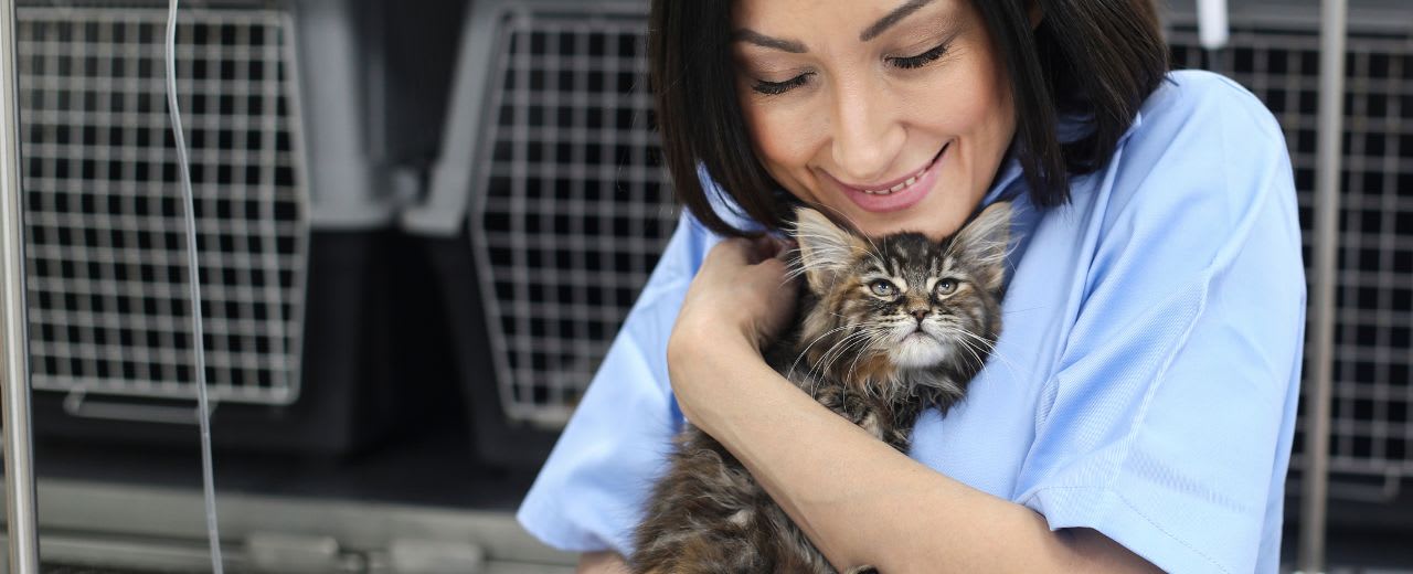 Study Animal Care Find and Compare Degrees